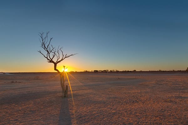 Camerons Corner, QLD