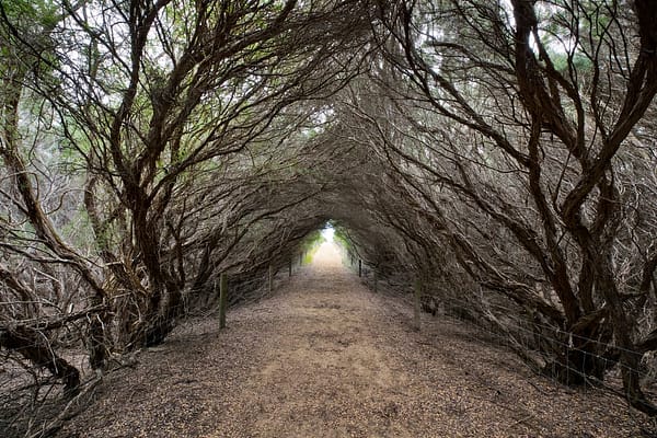 Phillip Island, VIC