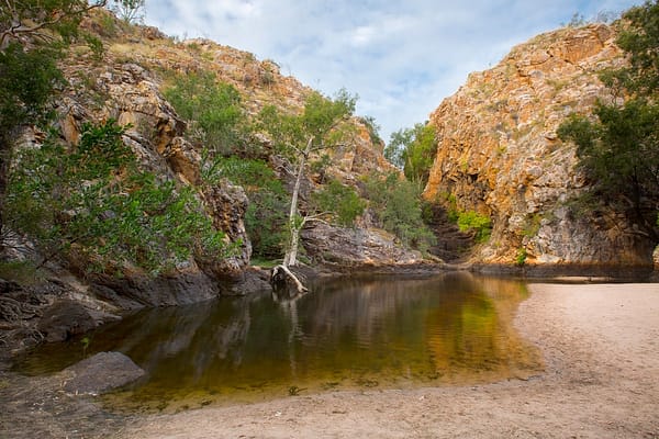 Butterfly Springs, NT
