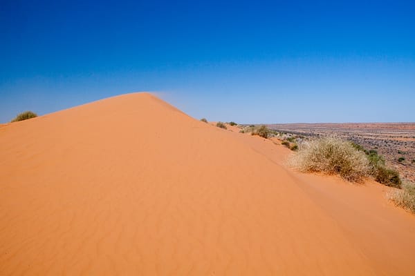 Birdsville, QLD
