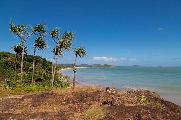 Cape York Peninsula, FNQ