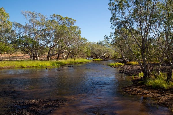 Hahn River, Lakefield FNQ