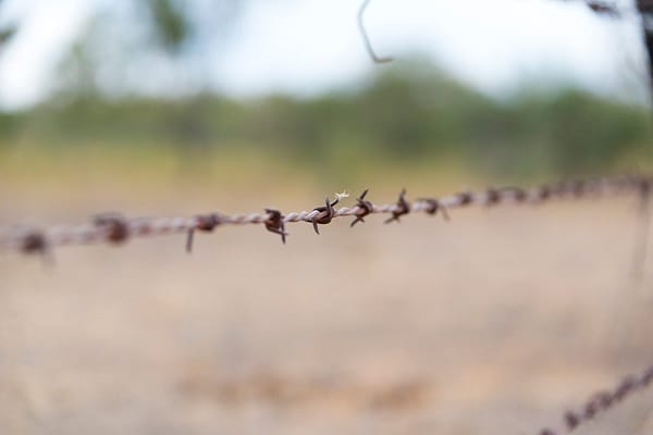 Barbed Wire Fencing