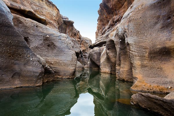 Cape York Peninsula, FNQ