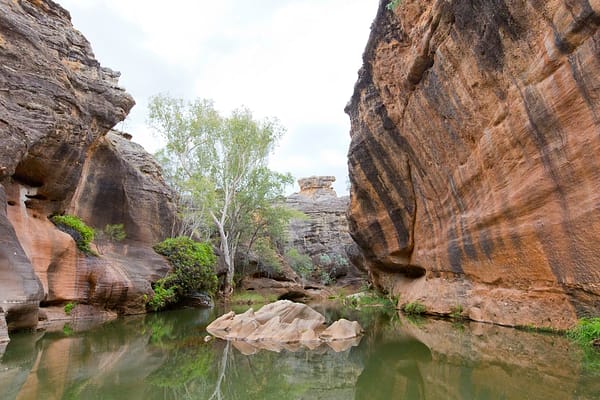 Cape York Peninsula, FNQ