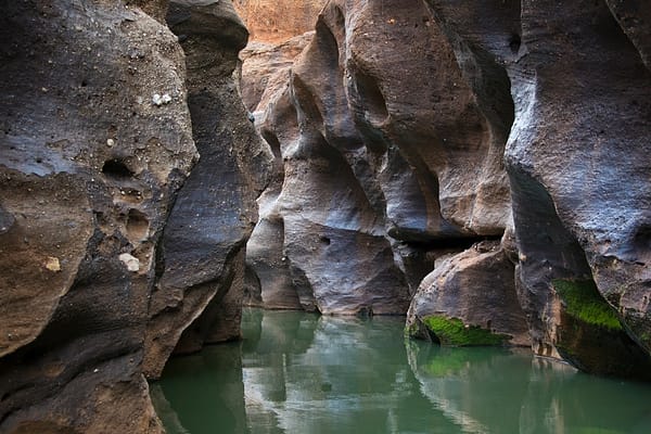 Cape York Peninsula, FNQ