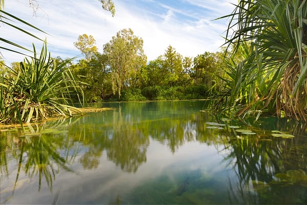Lawn Hill, North West Queensland