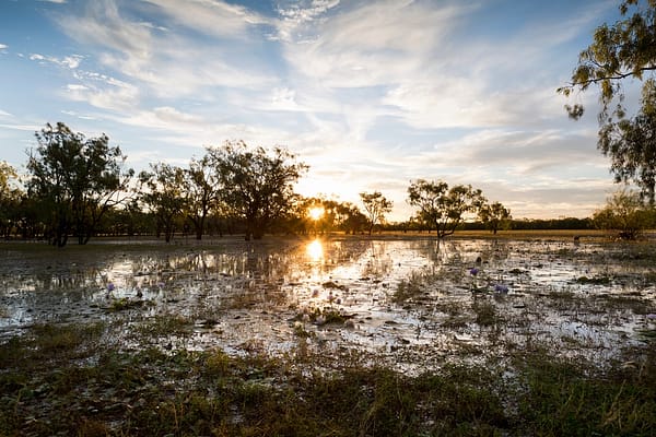 Leichhardt Lagoon, Normanton, FNQ