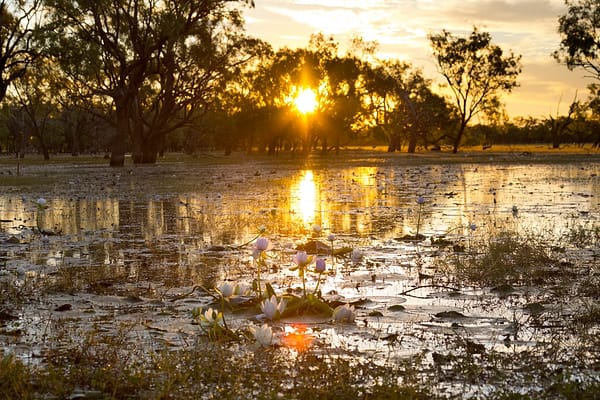 Leichhardt Lagoon, Normanton, FNQ