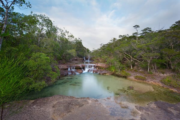 Cape York Peninsula, FNQ