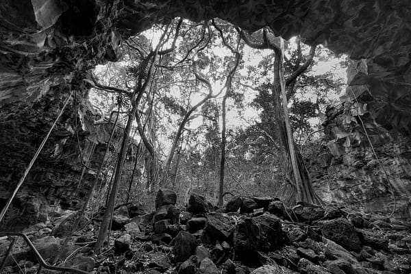 Undara Lava Tubes, FNQ