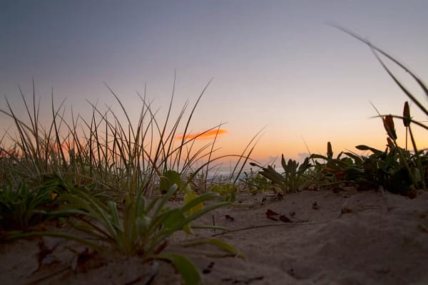 Jones Beach, Kiama Downs