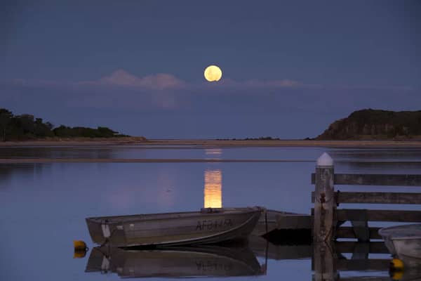 Minnamurra River