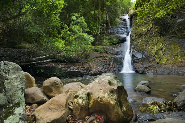 Cascade Falls, Macquarie Pass