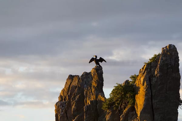 Cathedral Rocks, Kiama Downs
