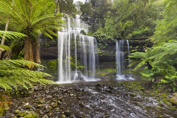 Russell Falls, Tasmania