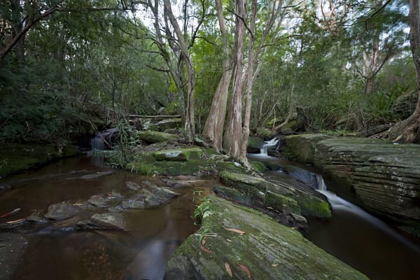 Helensburgh, NSW