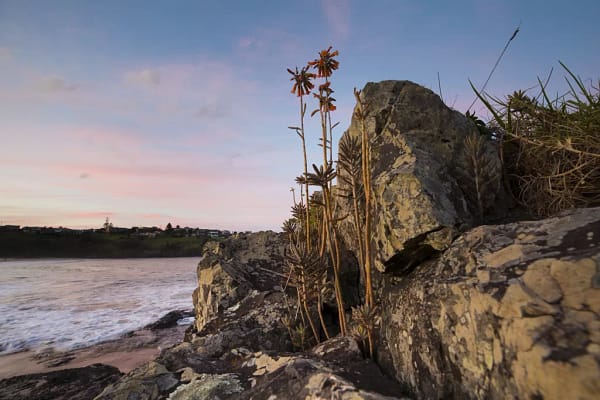 Easts Beach, Kiama