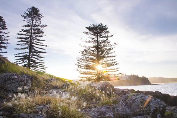 Blowhole Point Rock Pool, Kiama NSW