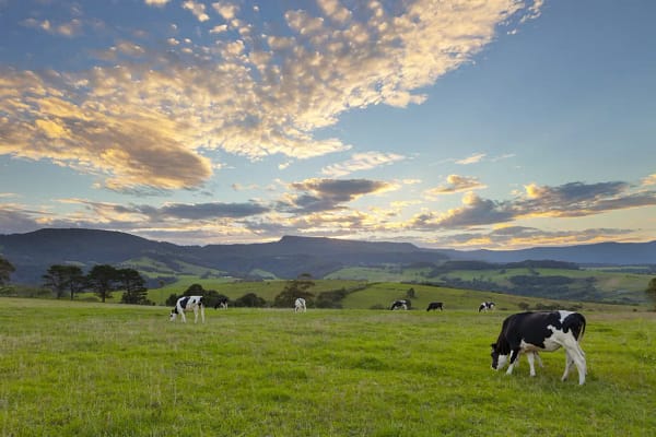 Jamberoo, NSW