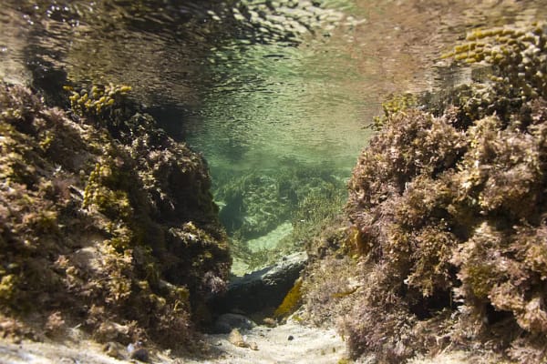 Minnamurra River, NSW