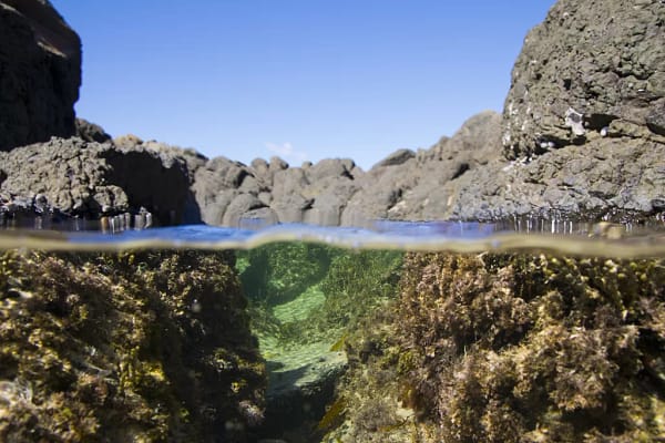 Minnamurra River, NSW