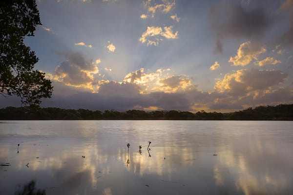Minnamurra River, NSW