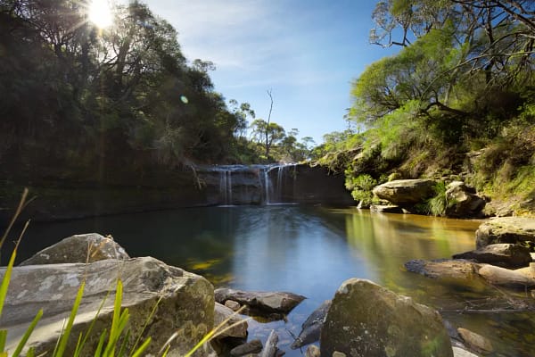 Robertson, NSW