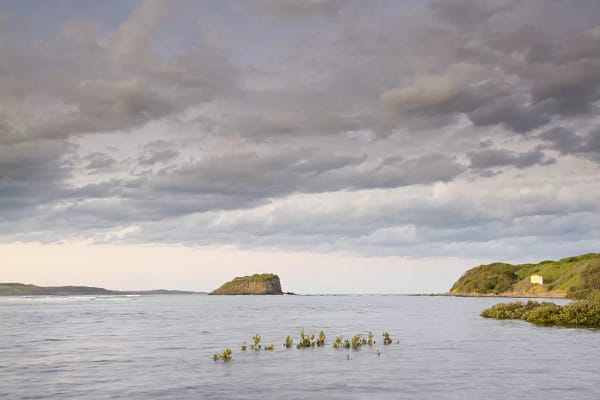 Minnamurra River, NSW