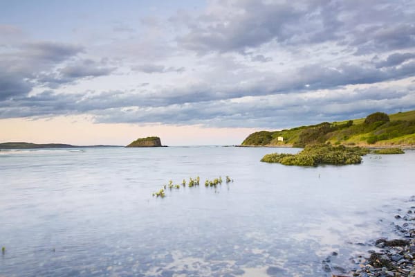 Minnamurra River, NSW