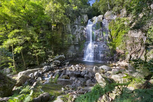 Minnamurra Falls