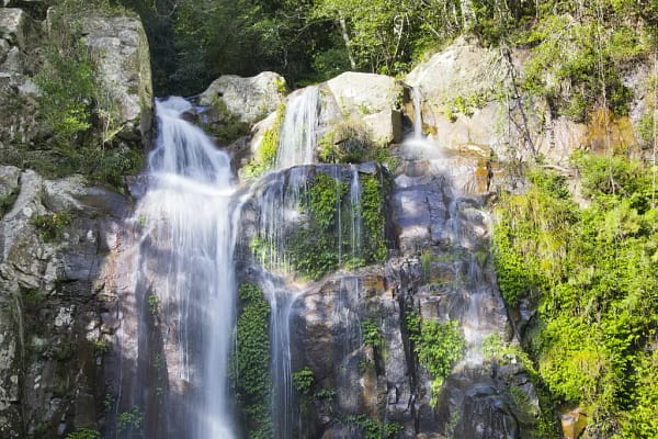 Minnamurra Falls