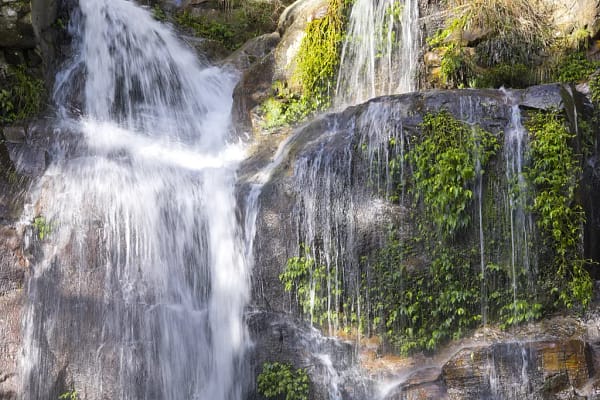 Minnamurra Falls