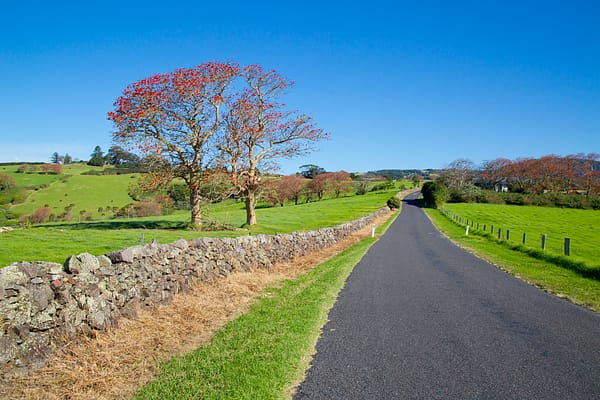 Old Saddleback Rd, Kiama NSW