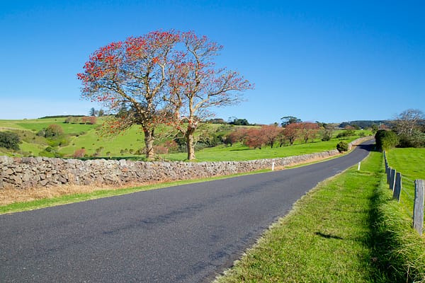 Old Saddleback Rd, Kiama NSW