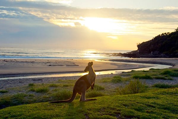 Hop into your new day