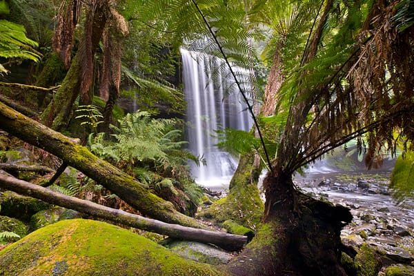 Russell Falls, Tasmania