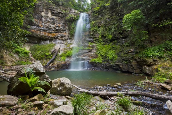 Clover Hill Falls, Macquarie Pass