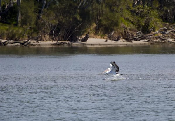 Lake Illawarra, Windang, NSW