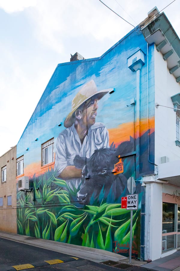 Moree, NSW