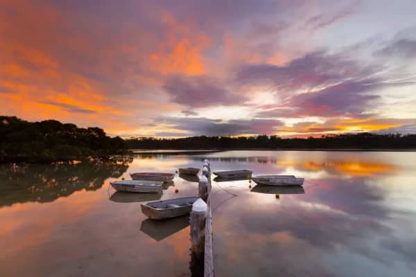 Minnamurra River