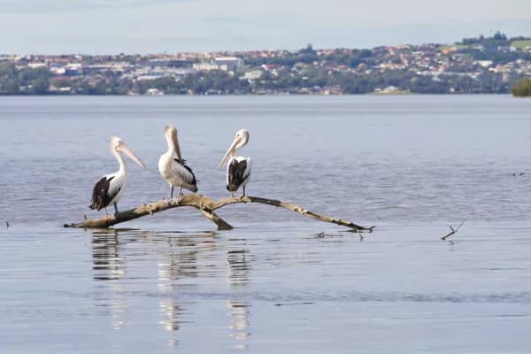 Kanahooka, NSW